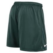 Michigan State Nike Reversible Mesh Shorts